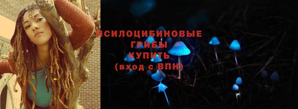 прущая мука Михайлов