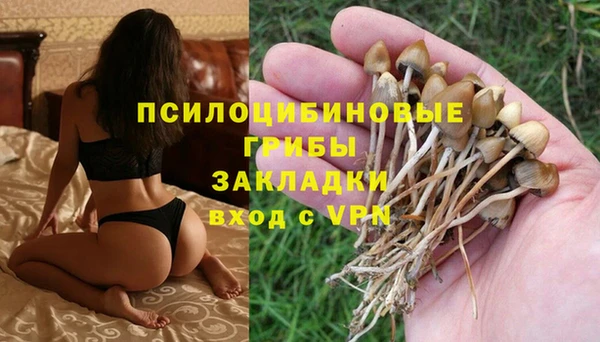 MESCALINE Михайловка