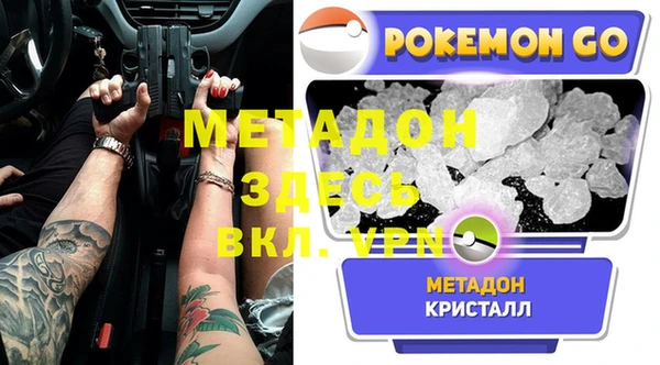 прущие грибы Новозыбков