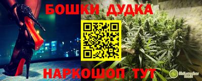 индика Конаково