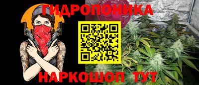 индика Конаково