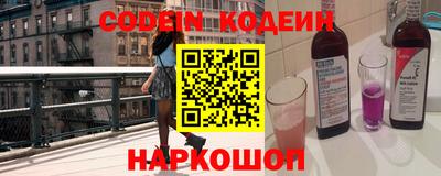 индика Можга