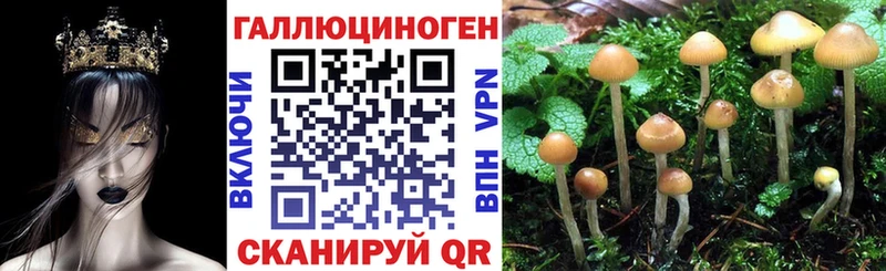 Галлюциногенные грибы прущие грибы Одинцово