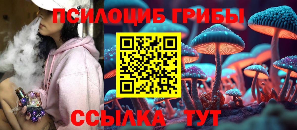 Одинцово  Галлюциногенные грибы GOLDEN TEACHER  Вход с VPN  Галлюциногенные грибы Cubensis 